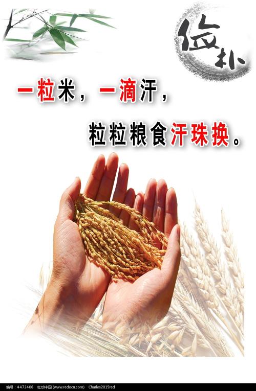 伦敦大学理工科文凭证书
